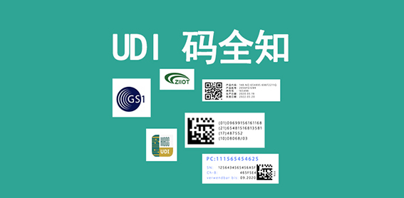 761b64fb7381d77